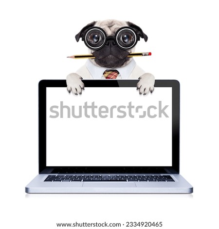 dumb crazy pug dog with nerd glasses as an office business worker with pencil in mouth ,behind laptop pc tablet computer screen, isolated on white background