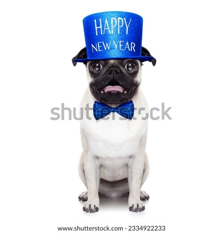 pug dog toasting for new years eve , isolated on white background