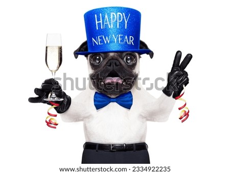 pug dog toasting for new years eve with champagne glass , isolated on white background