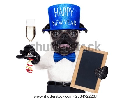 pug dog toasting for new years eve with champagne glass , behind blank white banner , blackboard or placard, isolated on white background
