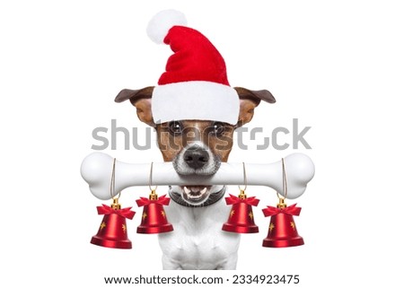 christmas santa claus dog holding a big bone with mouth decoration xmas bells hanging, isolated on white background