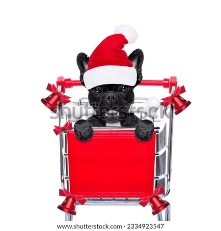 santa claus dog in a shopping cart at christmas holidays, behind placard or banner , isolated on white background