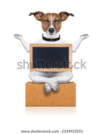 yoga dog posing in a relaxing pose with both arms open and closed eyes,while holding a blank empty placard or blackboard, isolated on white background