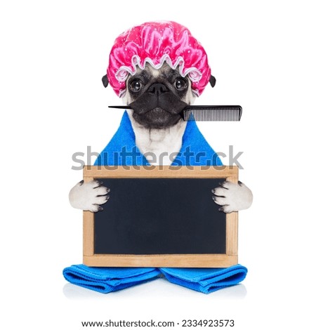 pug dog ready to have a bath or a shower wearing a bathing cap and towel, isolated on white background holding an empty blank placard or blackboard