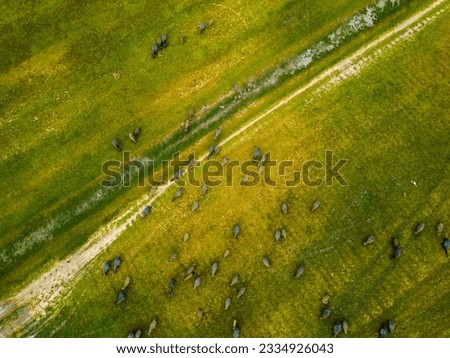 Aerial view of the green hills and meadows at sunset in Tay Ninh, Vietnam. Buffaloes grazing. Blue sky and clouds in the background. Idyllic rural scene