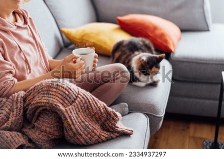 Close-up woman in a plaid drinking hot tea with relaxed cat on the sofa at home. Cozy and comfortable winter or autumn weekends. Pleasant ways to keep warm. Take a break and relax. Selective focus.