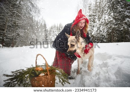 Cute little girl in red cap or hat and black coat with basket of green fir branches in snow forest and big dog shepherd as wolf on cold winter day. Fun and fairytale on photo shoot