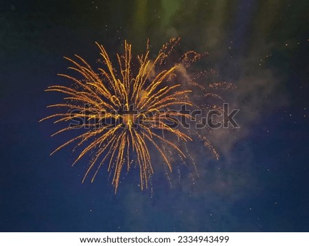 Colorful firework over the night sky. Celebration of a festive event, holiday abstract background