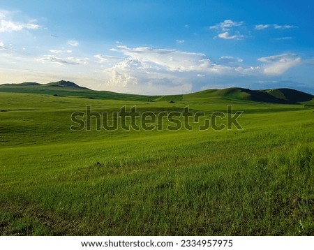 A panoramic view on a hilly landscape of Xilinhot in Inner Mongolia. Endless grassland with a few wildflowers between. Blue sky with thick, white clouds. Higher hills in the back. Mongolian grassland Royalty-Free Stock Photo #2334957975