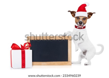 jack russell santa claus dog behind a blank empty placard or banner,or blackboard, for christmas , isolated on white background