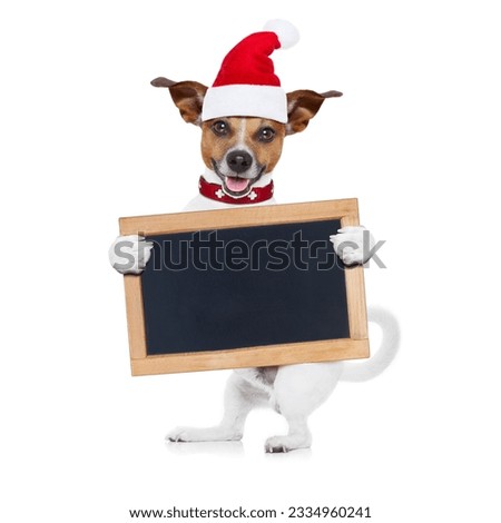 jack russell santa claus dog holding a blank empty placard or banner,or blackboard, for christmas , isolated on white background