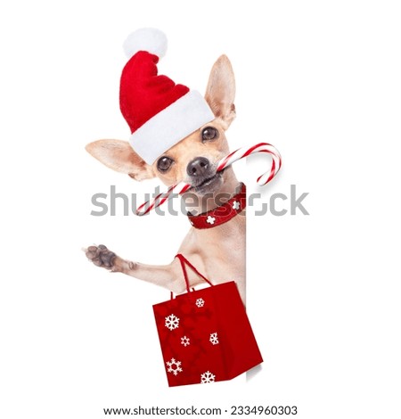 chihuahua santa claus shopping bag dog behind a blank empty placard or banner, for christmas sale discount , isolated on white background