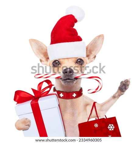 chihuahua santa claus shopping bag dog ready for christmas sale , isolated on white background