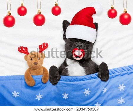 french bulldog santa claus dog sleeping off christmas holidays with teddy bear and red pacifier