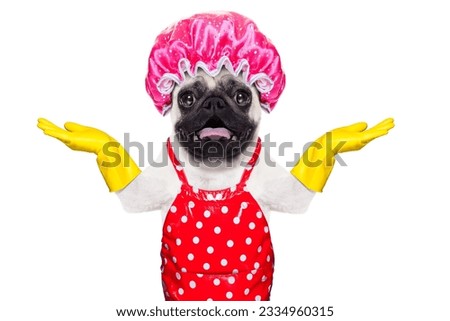 pug dog doing household chores with rubber gloves and shower cap, isolated on white background
