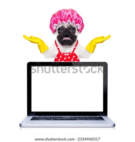 pug dog doing household chores with rubber gloves and shower cap behind a laptop pc computer screen , isolated on white background