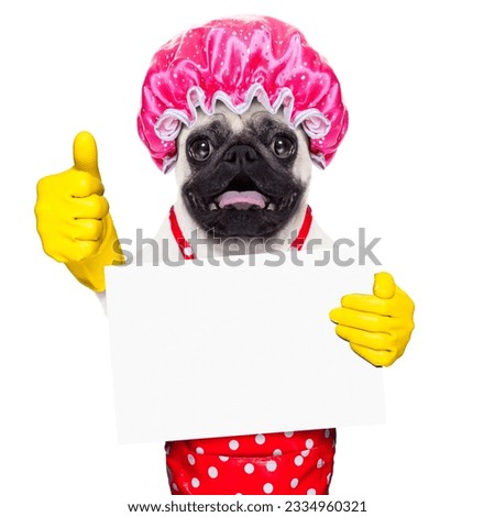 pug dog doing household chores with rubber gloves and shower cap, holding a blank empty blackboard or placard, isolated on white background