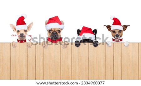 row and group of santa claus dogs, for christmas holidays, behind a wall, banner or placard, wearing a red hat , isolated on white background