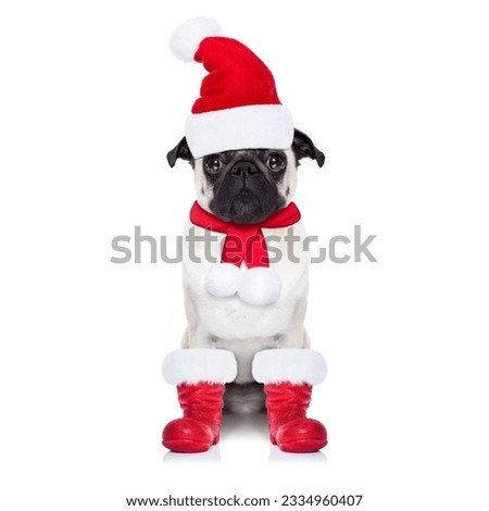 pug dog as santa claus with red boots, for christmas holidays, looking dumb, isolated on white background
