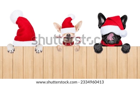 row and group of santa claus dogs, for christmas holidays, behind a wall, banner or placard, eyes covered by the hat , isolated on white background