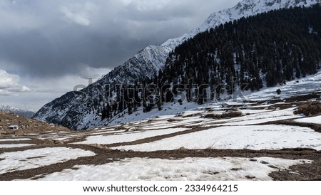 Naltar Valley in Gilgit-Baltistan, Pakistan.
