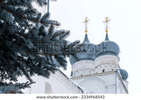 Branches of a blue spruce against the backdrop of a church at winter time. Merry christmas