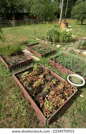 Beds with herbs and vegetables. Farming in the village.