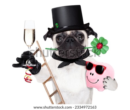 pug dog as chimney sweeper with four leaf clover celebrating and toasting for new years eve,with champagne, isolated on white background