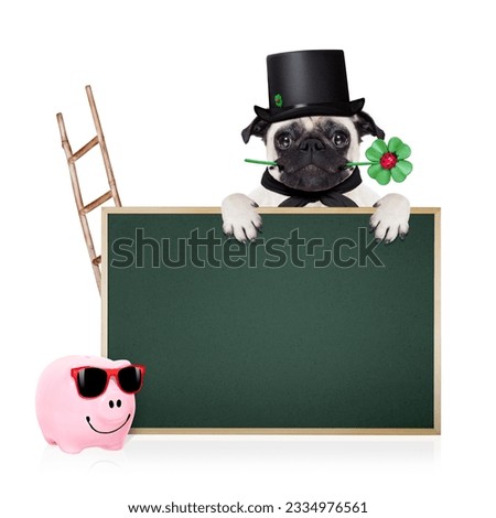pug dog as chimney sweeper with four leaf clover behind blackboard or placard, celebrating and toasting for new years eve, isolated on white background