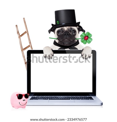 pug dog as chimney sweeper with four leaf clover behind white pc laptop computer screen , celebrating and toasting for new years eve, isolated on white background