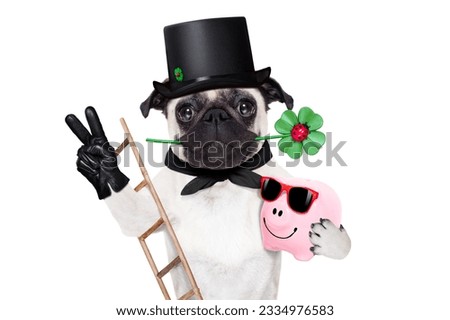 pug dog as chimney sweeper with four leaf clover celebrating and toasting for new years eve isolated on white background