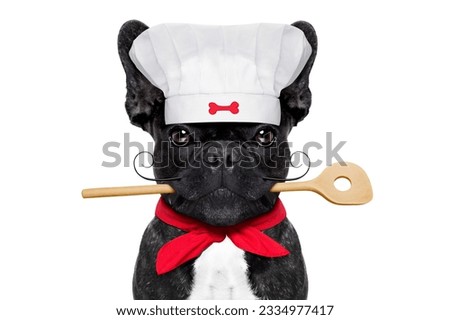 french bulldog dog chef cook with kitchen spoon in mouth, isolated on white background