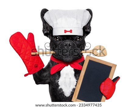 french bulldog dog chef cook holding a blank empty blackboard or placard, isolated on white background