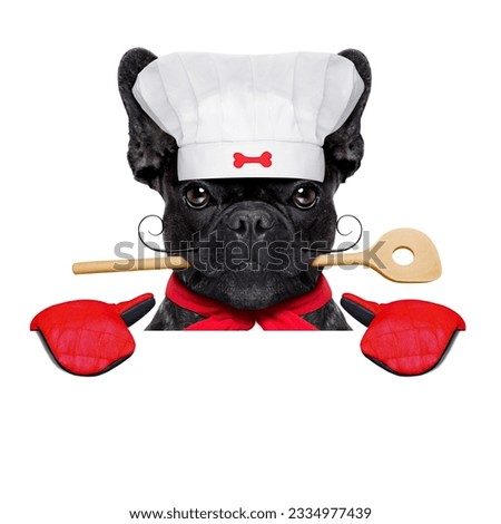 french bulldog dog chef cook behind a blank empty banner or placard,wearing kitchen gloves, isolated on white background