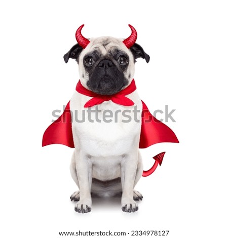 halloween devil pug dog with red cape, isolated on white background
