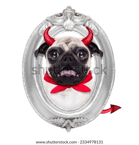 halloween devil pug dog inside a grey silver frame on the wall, isolated on white background