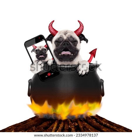 pug halloween devil dog burning inside a boiler on a bonfire like a witch, taking the last selfie, isolated on white background