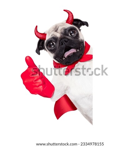 halloween devil pug dog hiding behind white empty blank banner or placard ,thumb up ,isolated on white background