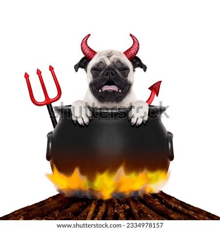 pug halloween devil dog burning inside a boiler on a bonfire like a witch, isolated on white background