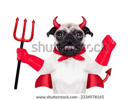 halloween devil pug dog with red cape, isolated on white background
