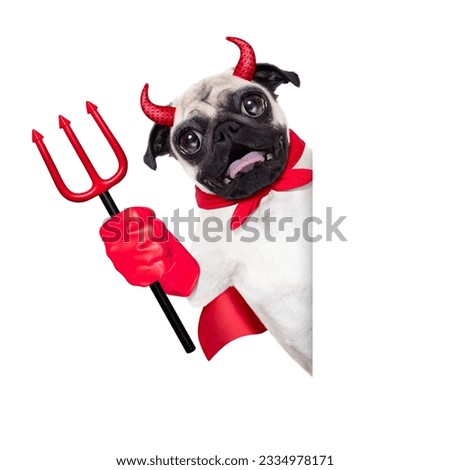 halloween devil pug dog hiding behind white empty blank banner or placard ,isolated on white background