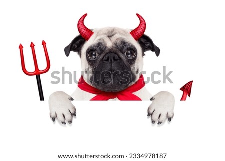 halloween devil pug dog hiding behind white empty blank banner or placard or poster , isolated on white background