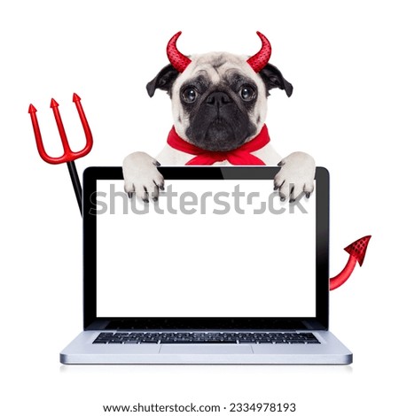 halloween devil pug dog hiding behind empty blank pc computer laptop screen , isolated on white background