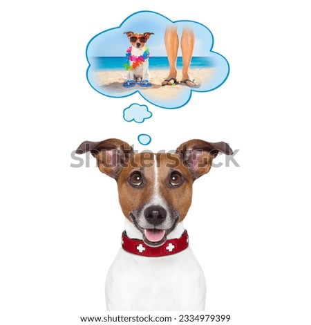 jack russell dog thinking about the summer vacation holidays with owner at the beach, isolated on white background