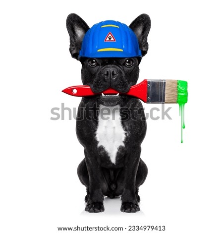 handyman painter dog worker with paintbrush and ready to repair, fix or paint everything at home, isolated on white background