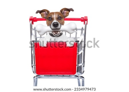 jack russell dog inside a shopping cart trolley , behind a blank empty banner or placard, with a bone in mouth , isolated on white background