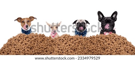big row or group of hungry dogs behind a big mound of food , ready to eat lunch , isolated on white background Royalty-Free Stock Photo #2334979529