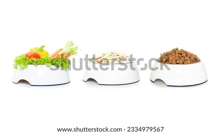 Row, group or stack of pet food bowl choices - vegan ,vegetarian , sweet cookies and meat cookies, isolated on white background