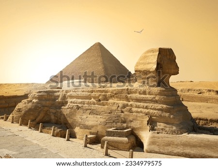 Bird over sphinx and pyramid in egyptian desert