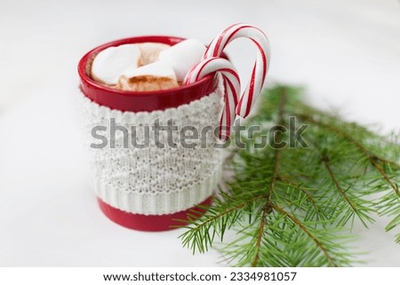 cup with hot chocolate with marshmallows and candy canes - christmas time dessert and christmas tree branch